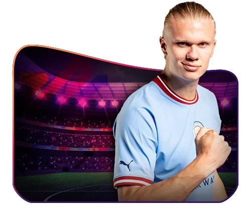 BIGBUNNY login app sports betting